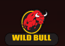 Wild Bull